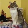 Отзыв от Клара Котова